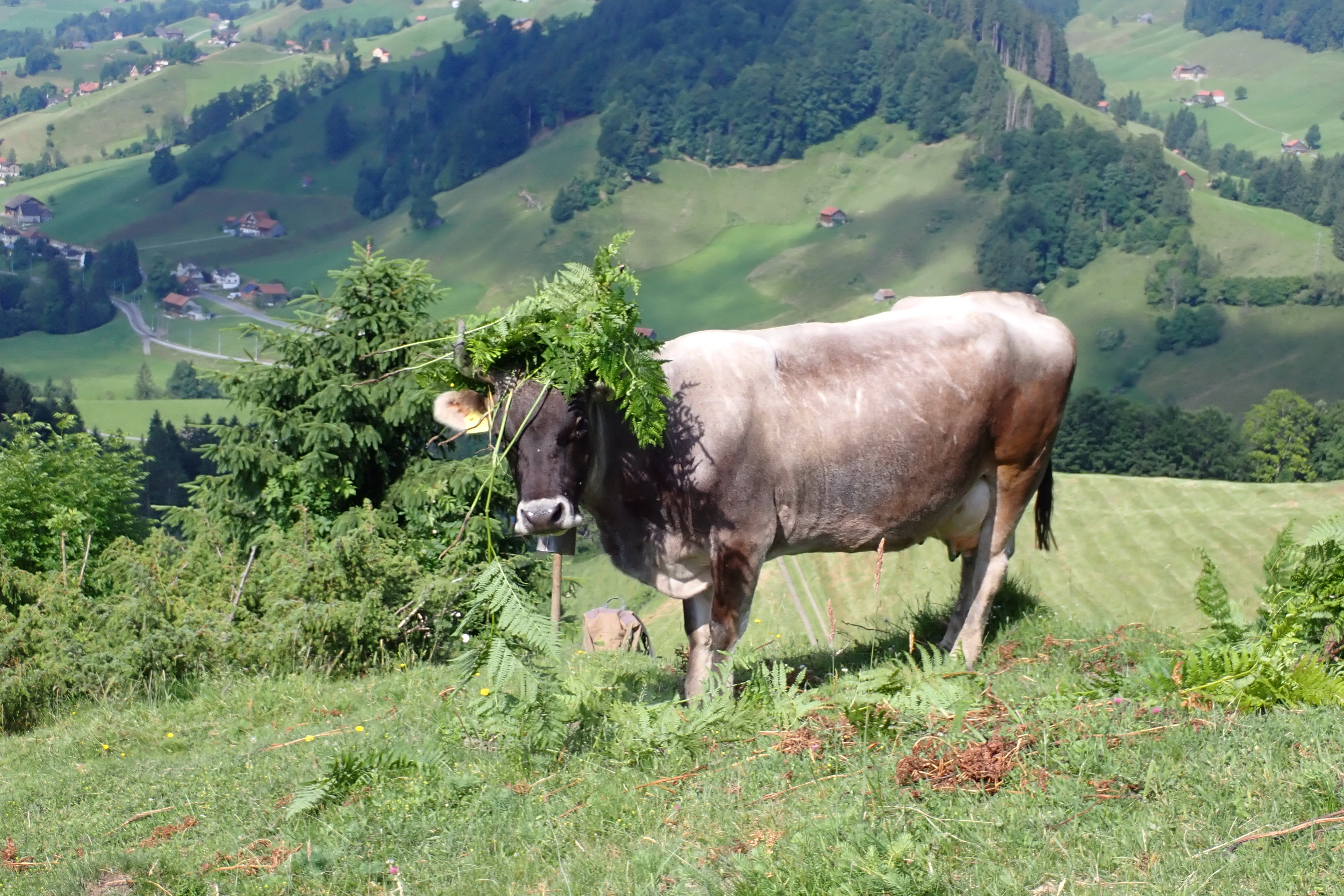 eine andere Arbeitshilfe