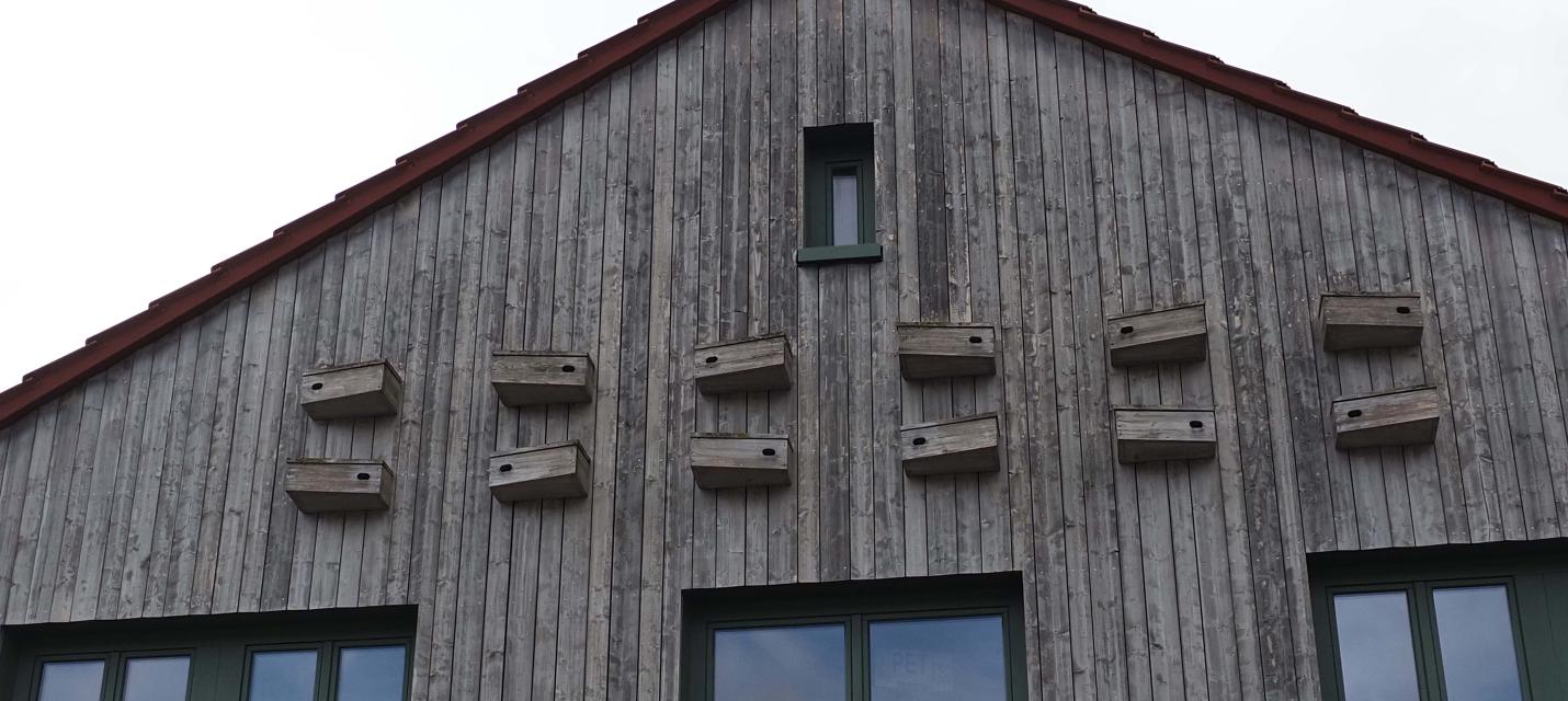 künstliche Nisthilfen für Mauersegler an der Kälblihalle in Herisau