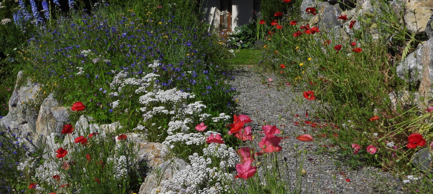 Biodiversität in einem privaten Garten